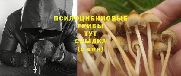 apvp Козельск