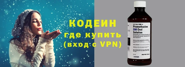 индика Кодинск