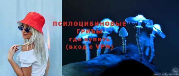 гидропоника Козловка