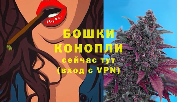 индика Кодинск