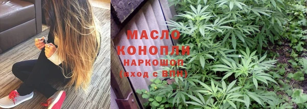 индика Кодинск