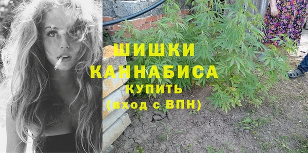apvp Козельск