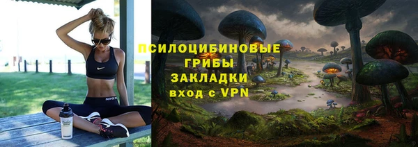 гидропоника Козловка