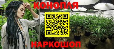 дмт Апшеронск