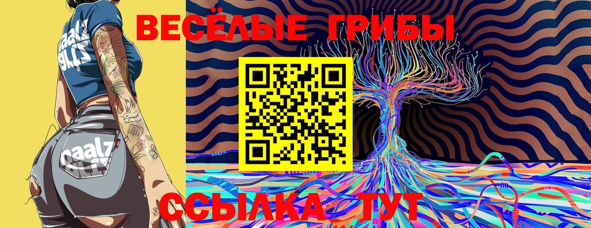 Галлюциногенные грибы GOLDEN TEACHER  Вход с VPN  Галлюциногенные грибы мицелий  Фурманов 