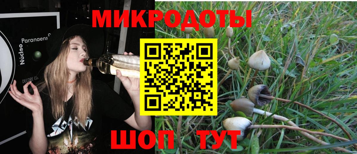 Меф Фурманов