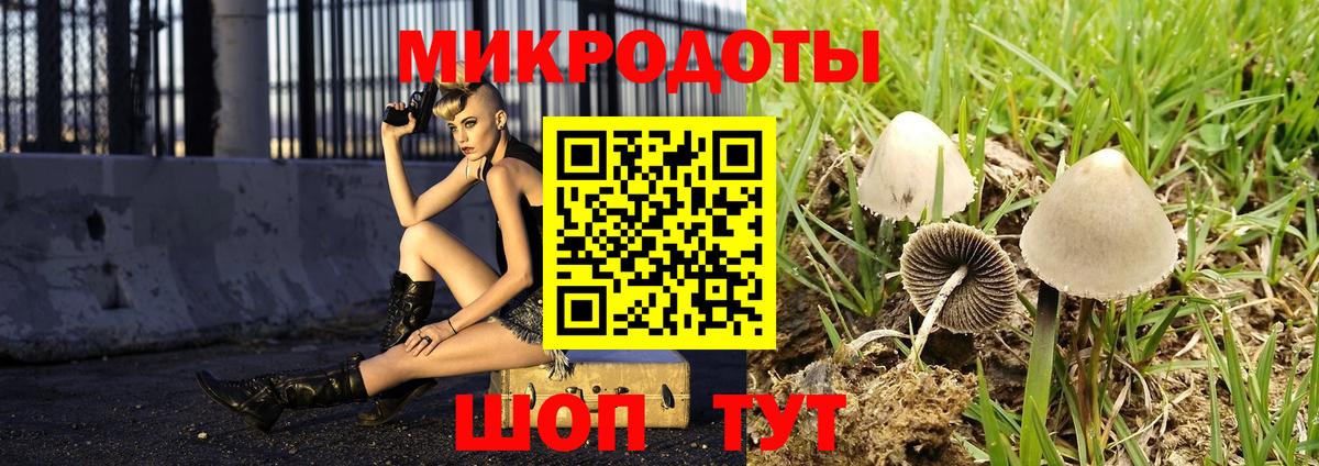 Галлюциногенные грибы мицелий Фурманов